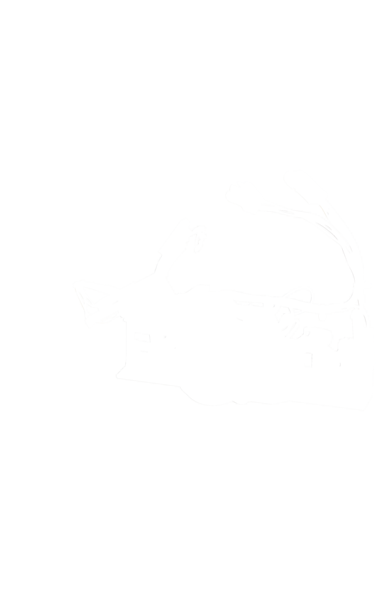 00646705 Nosič Bosch | Siemens