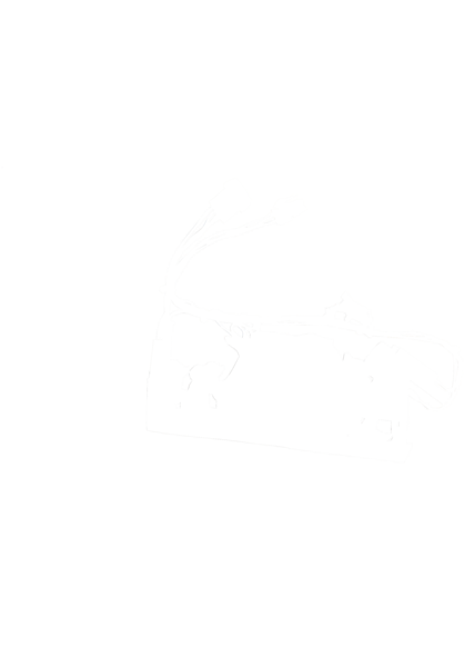 00646705 Nosič
