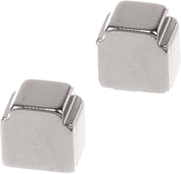 10003753 Magnet Bosch | Siemens